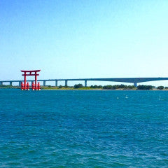 Shinkansen ticket: From Atami to Hamamatsu