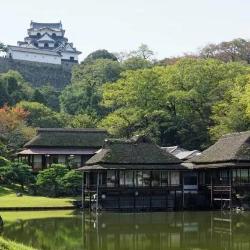 Limited Express Train Ticket Online Booking : Tsuruga to Maibara (Shirasagi)