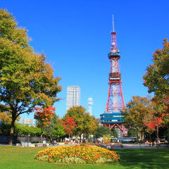 Train Package Online Booking : Shin-Aomori to Sapporo