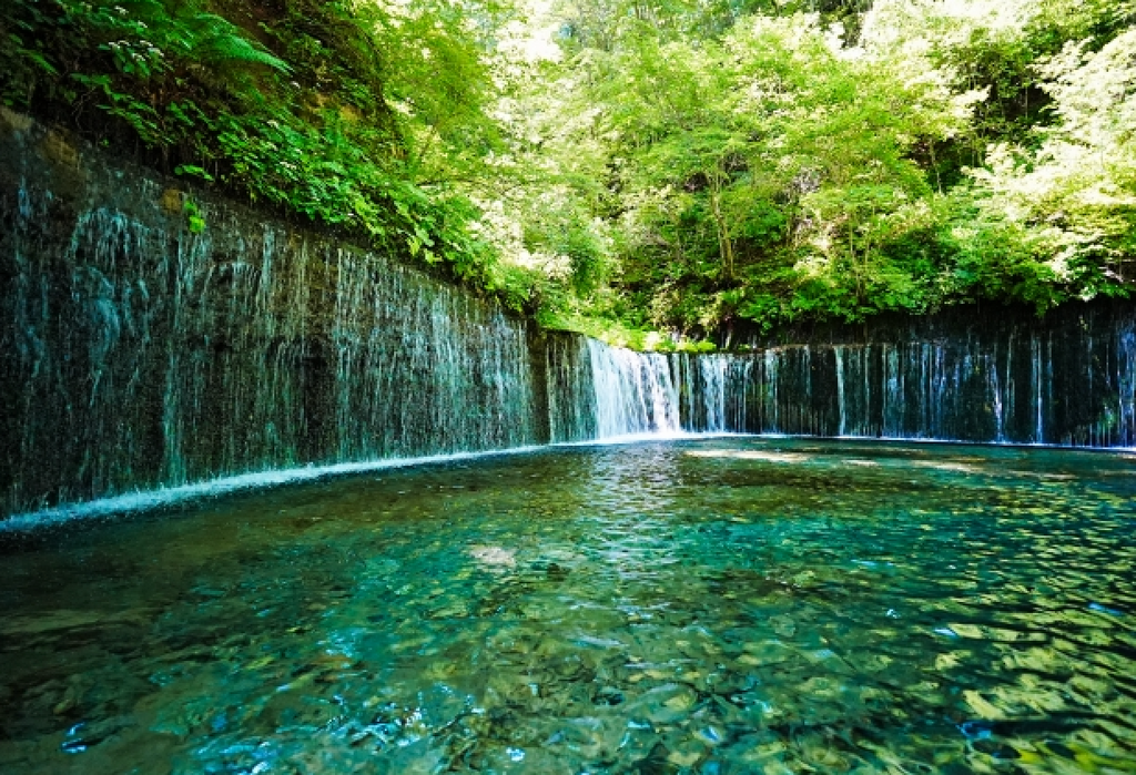 Embark on a thrilling summer adventure from Tokyo to Karuizawa by Shinkansen!