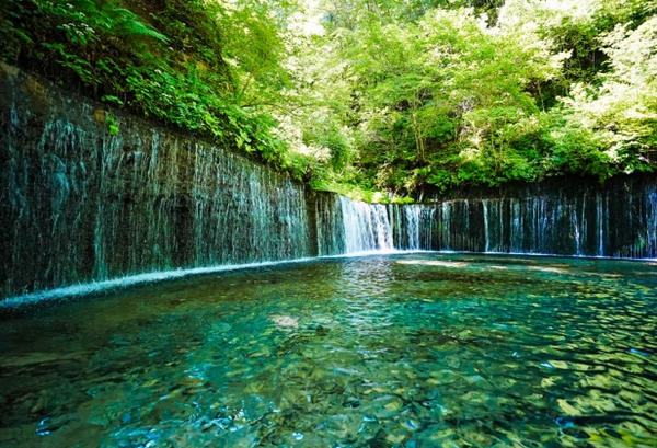 Embark on a thrilling summer adventure from Tokyo to Karuizawa by Shinkansen!