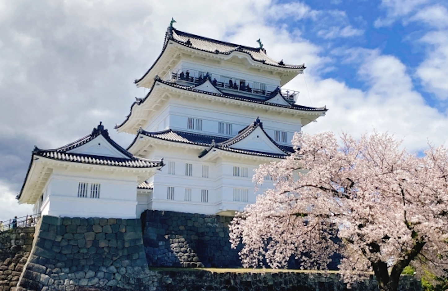 Exploring Japan's Castles: Odawara Castle