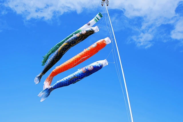 Captivating Koinobori: Exploring Japan's May Festivities