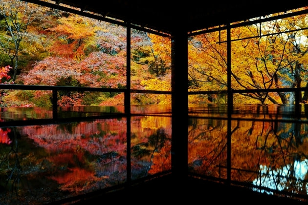When Should You Book Shinkansen Tickets for Autumn 2026? A Guide for International Travelers