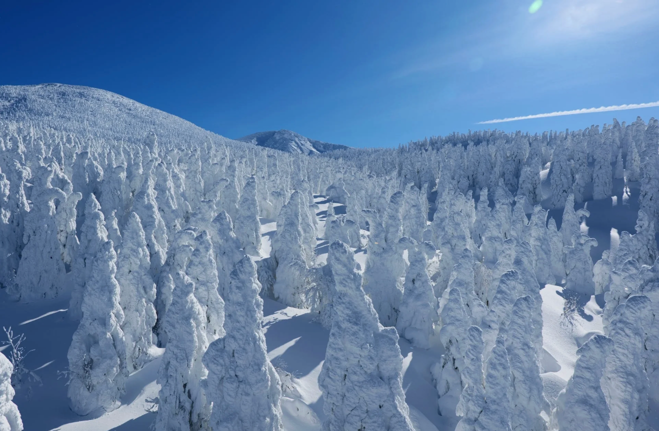 Yamagata: Japan’s Hidden Gem Chosen Among the Best Places to Travel in 2026