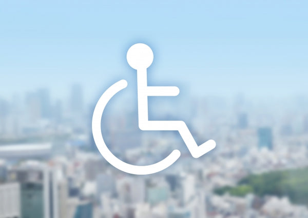 Wheelchair Accessibility on Shinkansen
