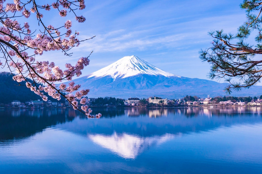 New Advance Reservation System for the Shinjuku–Kawaguchiko Train (Mt. Fuji Route)