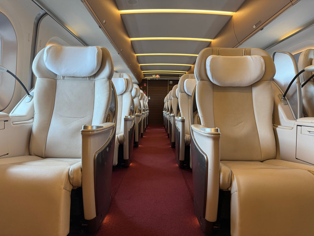 Japan Scenic Trains #2: Watching Japan Go By from the Shinkansen