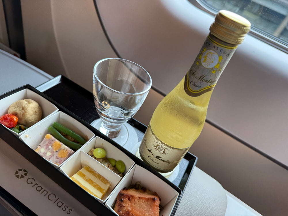 Japan Scenic Trains #1: Beginning the Journey with GranClass