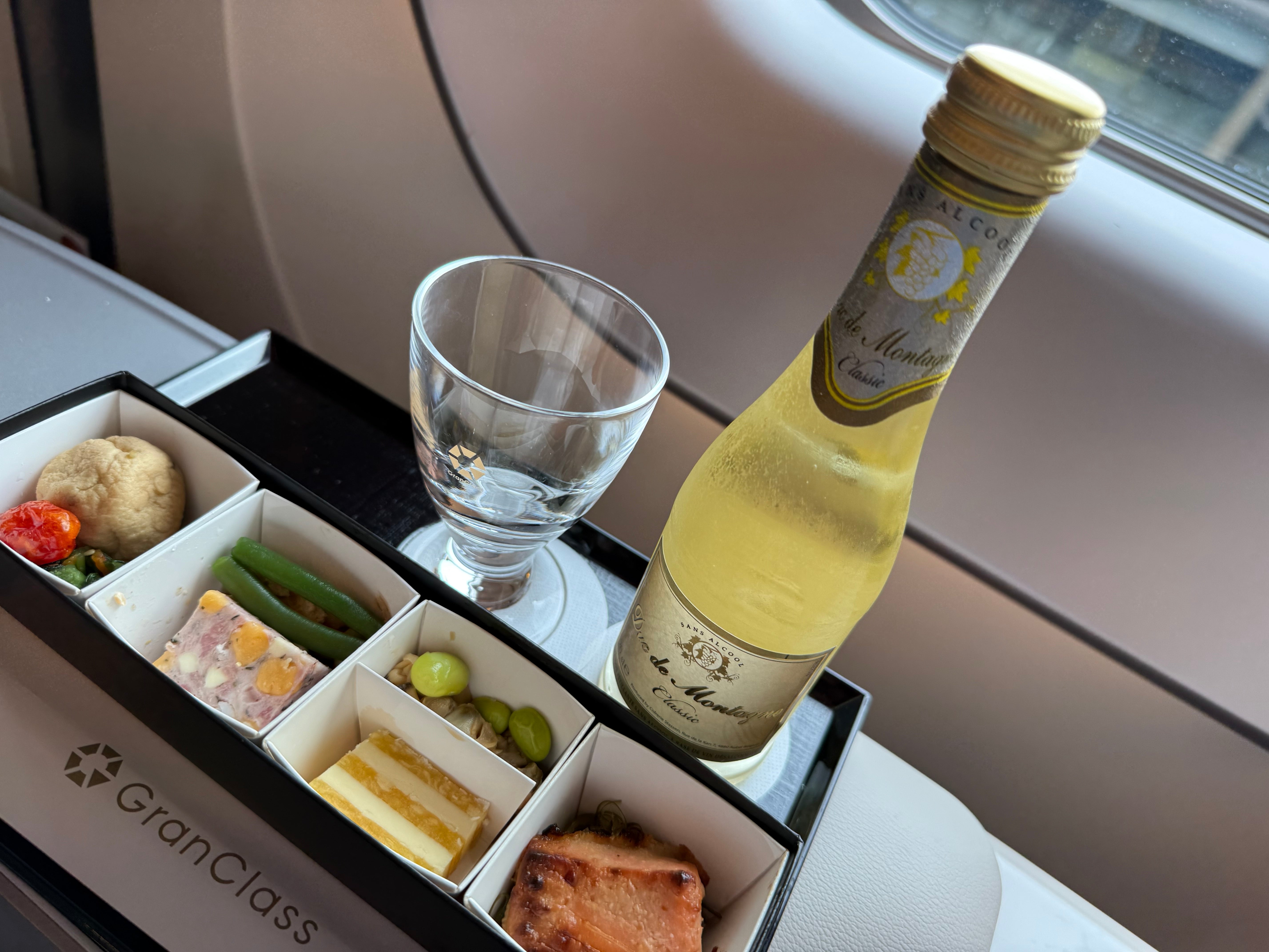 Japan Scenic Trains #1: Beginning the Journey with GranClass