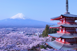 Cherry blossom season is coming! Book NOW before seats are SOLD OUT!!