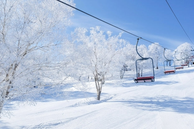 Planning a Ski Trip to Japan? Explore Our Japan Ski Guide 2026–2027