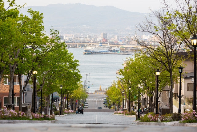 From Hakodate (Shin-Hakodate-Hokuto)
