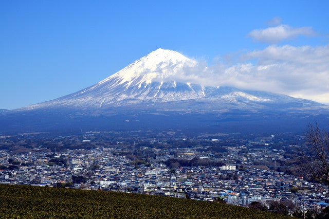 From Shin-Fuji