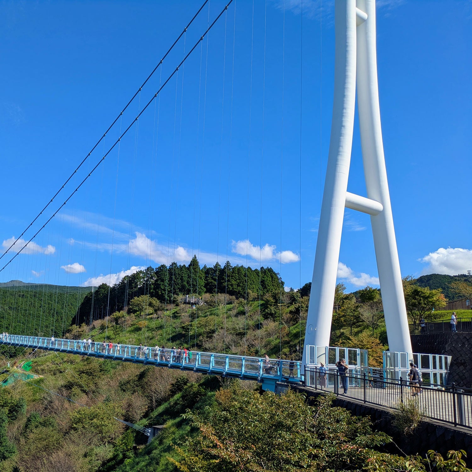 Pemesanan Tiket Shinkansen Online: Kyoto ke Mishima