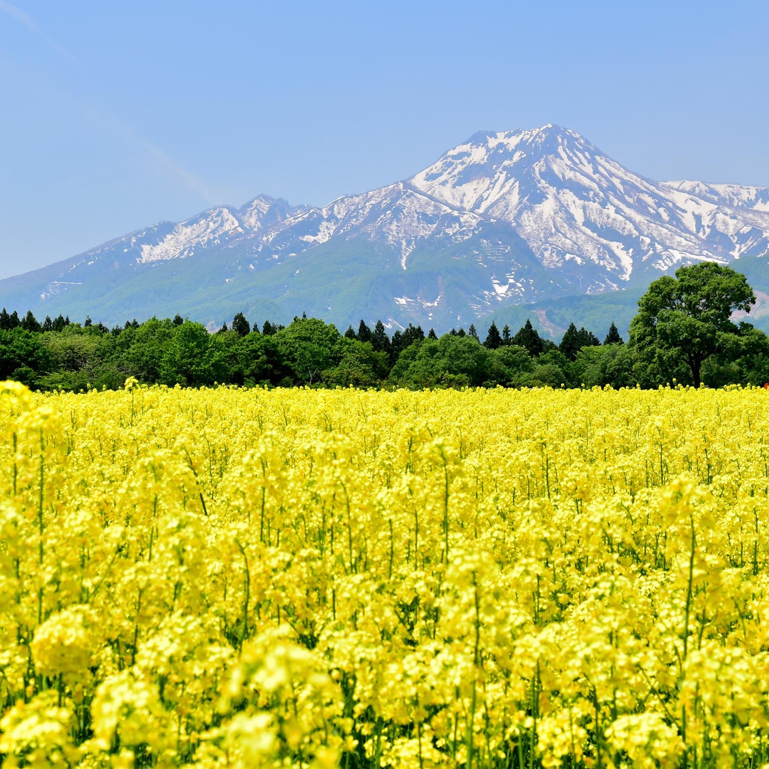 Pemesanan Tiket Shinkansen Online: Tokyo ke Joetsumyoko