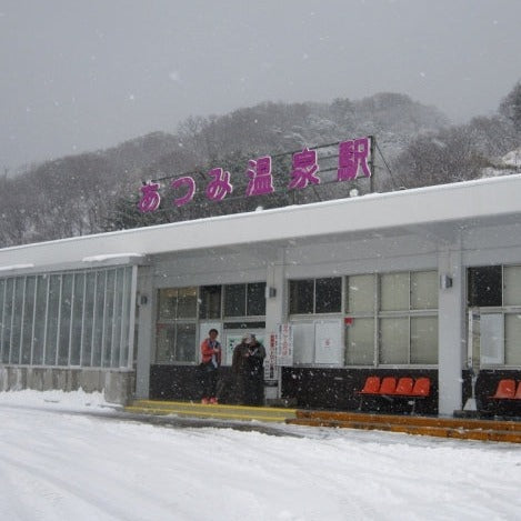 Train Package Online Booking : Tokyo to Atsumi-Onsen (Shinkansen + Inaho)