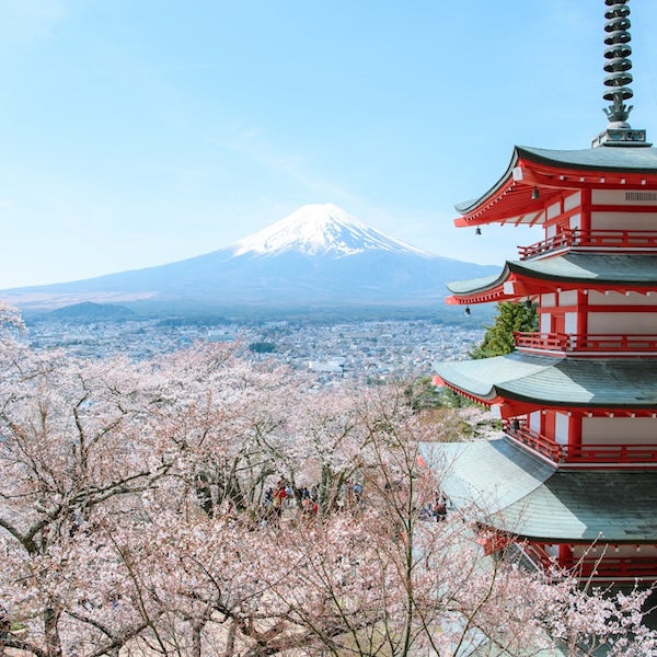 Fuji Excursion Train Ticket Online Booking : Shinjuku to Shimoyoshida