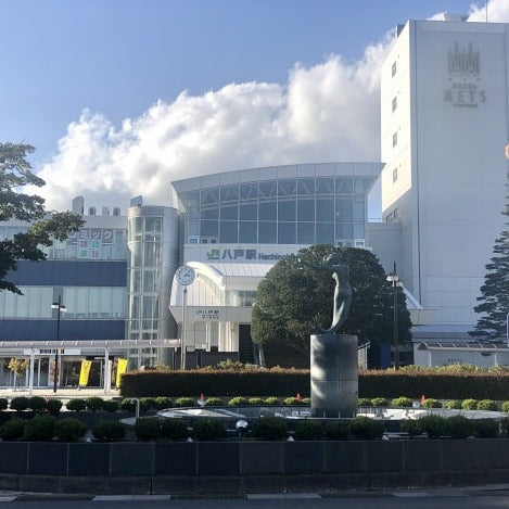 Train Package Online Booking : Atsumi-Onsen to Hachinohe (Inaho + Shinkansen)