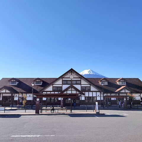 Fuji Excursion Train Ticket Online Booking : Shinjuku to Kawaguchiko (Mt. Fuji)