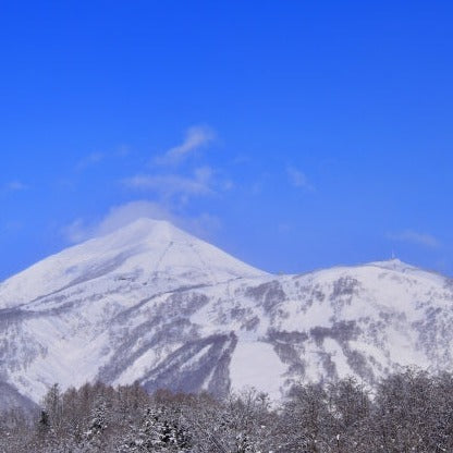 Train Package Online Booking : Tokyo to Kutchan (Hayabusa/Hokuto/Local)