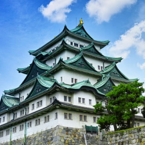 Shinkansen Ticket Online Booking : Shinagawa to Nagoya