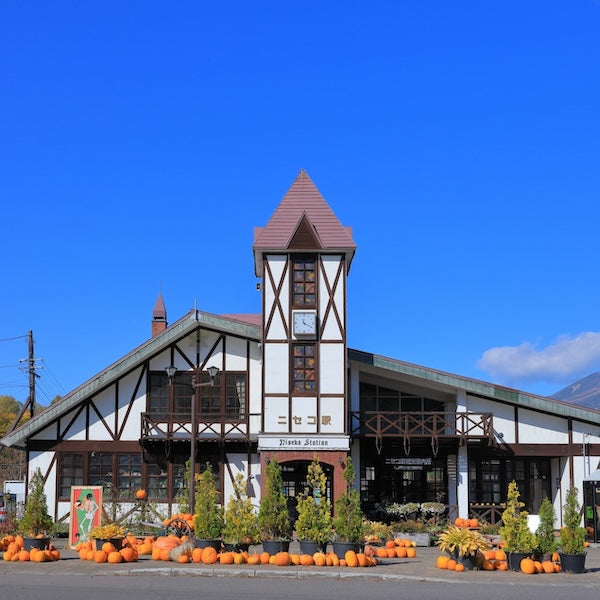 Train Package Online Booking : Tokyo to Niseko (Hayabusa/Hokuto/Local)