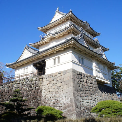 Shinkansen Ticket Online Booking : Shinagawa to Odawara