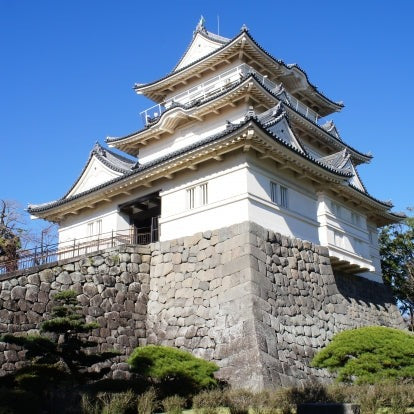 Limited Express Train Ticket Online Booking : Ito to Odawara