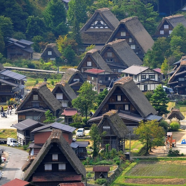Limited Express Train Ticket Online Booking : Shin-Osaka to Takayama (Hida)