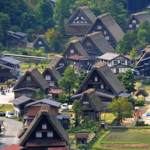 Train Package Online Booking : Tokyo to Takayama (Nozomi/Hida)