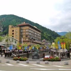 Limited Express train ticket: From Nagoya to Gero (Wide View Hida)