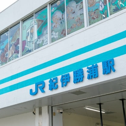 Limited Express Train Ticket Online Booking : Nagoya to Kii-Katsuura (Nanki)