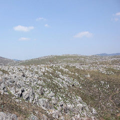 Shinkansen Ticket Online Booking: From Shin-Osaka to Shin-Yamaguchi