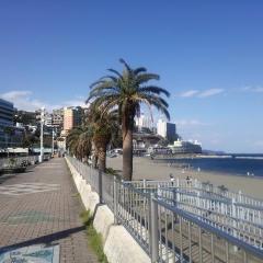 Shinkansen Ticket Online Booking: From Hamamatsu to Atami