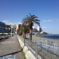 Shinkansen ticket: From Shin-Osaka to Atami
