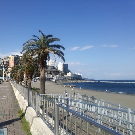 Limited Express Train Ticket Online Booking : Izukogen to Atami (Odoriko)