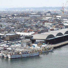 Shinkansen ticket: From Tokyo to Hachinohe