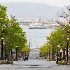 Limited Express Train Ticket Online Booking : Shin-Hakodate-Hokuto to Hakodate (Hokuto)