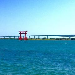 Shinkansen Ticket Online Booking: From Shin-Yokohama to Hamamatsu