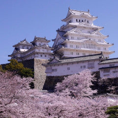 Shinkansen Ticket Online Booking: From Hiroshima to Himeji