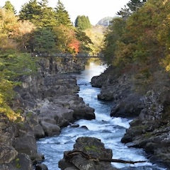 Shinkansen Ticket Online Booking: From Tokyo to Ichinoseki