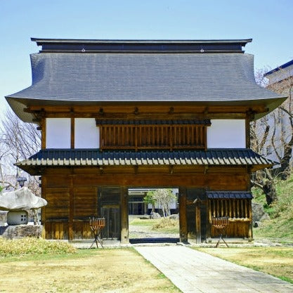 Shinkansen Ticket Online Booking : Morioka to Iiyama