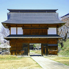 Shinkansen ticket: From Ueno to Iiyama