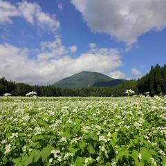 Shinkansen Ticket Online Booking: From Tokyo to Itoigawa