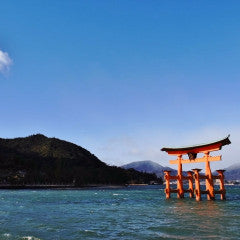 Train package: From Takamatsu to Hiroshima (Marine Liner/Shinkansen)