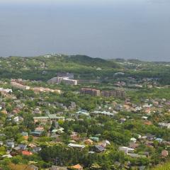 Limited Express Train Ticket Online Booking : Tokyo to Izukogen (Odoriko)