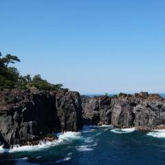 Limited Express Train Ticket Online Booking : Atami to Izukogen (Odoriko)