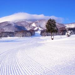 Shinkansen Ticket Online Booking: From Nagano to Joetsumyoko