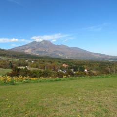Shinkansen Ticket Online Booking: From Omiya to Joetsumyoko